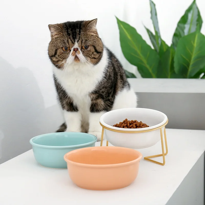 Travel Pet Feeder With Stainless Steel Stand Ceramics Cat Dog Bowl For Pet