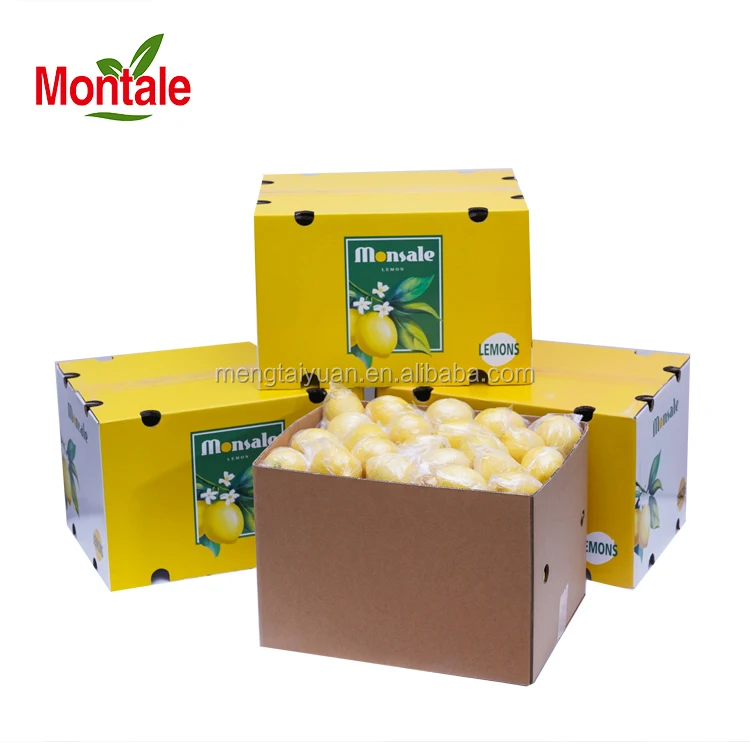 Montale Rich in Vitamins Fresh Lime Export Lemon