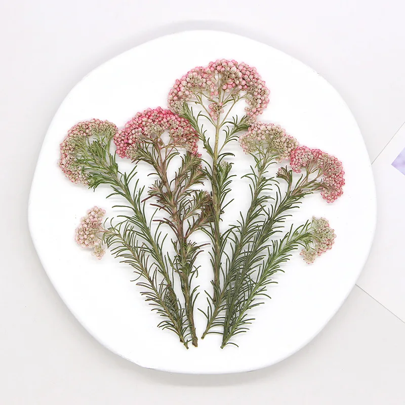 12 шт./упаковка цветок риса/белый Кизила для телефона