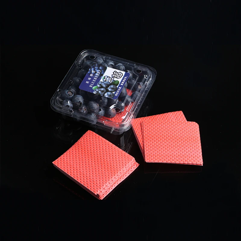 Direct Anti Moisture Food Grade Strawberry Absorbent Pads for Fruit Packaging