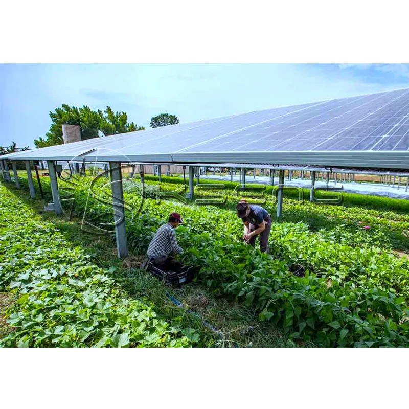 Solar Agriculture PV Mounting Bracket Photovoltaic Greenhouse And Agricultural Mounting System Solar Farm Solar Panel Farm