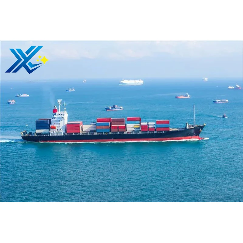 China Cheap Sea Freight International Shipping Forwarding Agent In Shenzhen Guangzhou To USA Canada UK Italy Germany France Ddp
