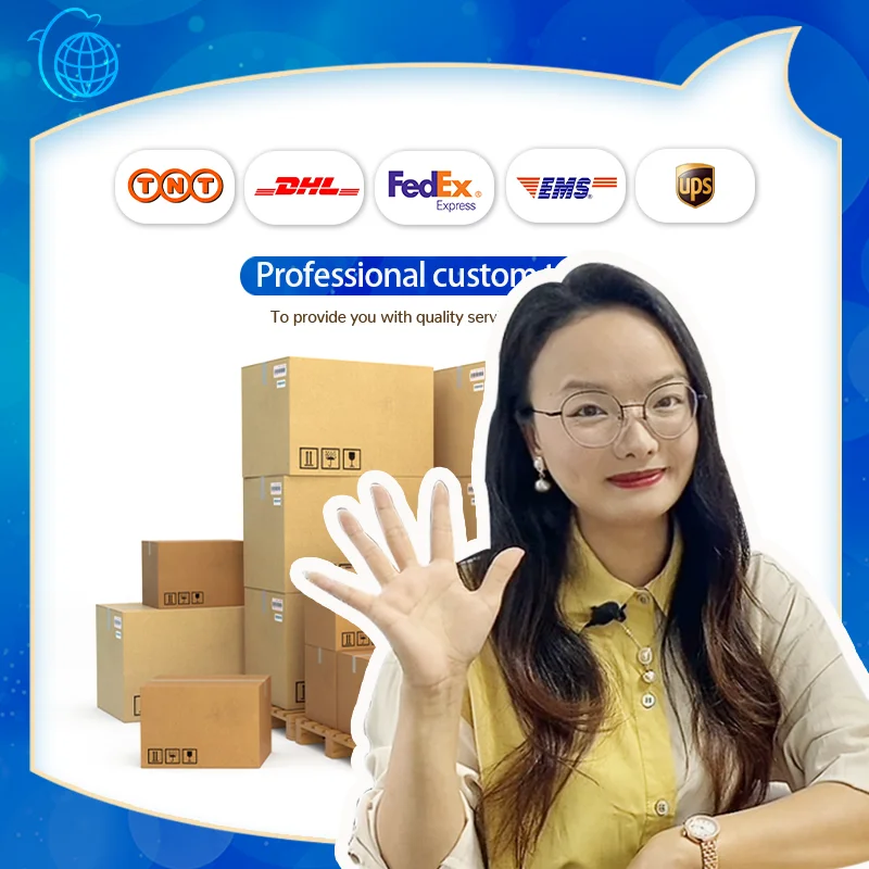 Sea Air Cargo Busan Ocean Freight Logistics Services Shipping Agent in International Singapore Price From Korea Usa