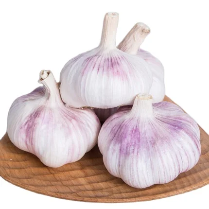 Wholesale Purple Single Clove Peel White Garlic G1 Garlic Seed Buyer for Sale