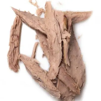 frozen tuna loin precooked skipjack tuna loin