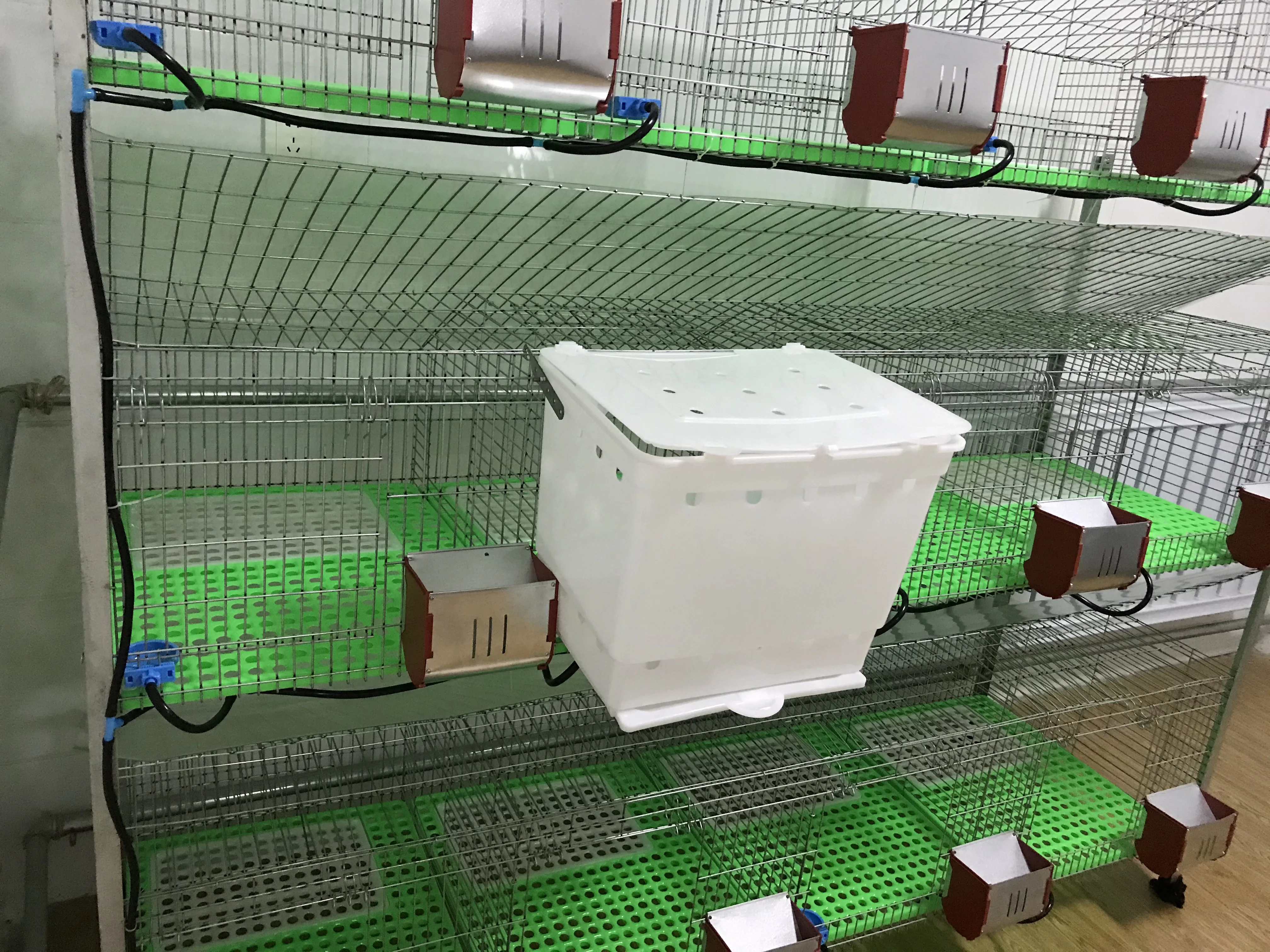 3 story fattening rabbit cages in camera for sale cheapest