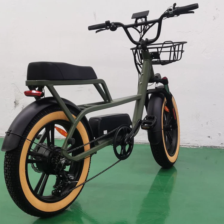 Joyebikes Fat Bike Bicycle Adults 20inch Off Road Ebike Fat Tyre Elektrische Fiets Fatbike 500w Electric Bike