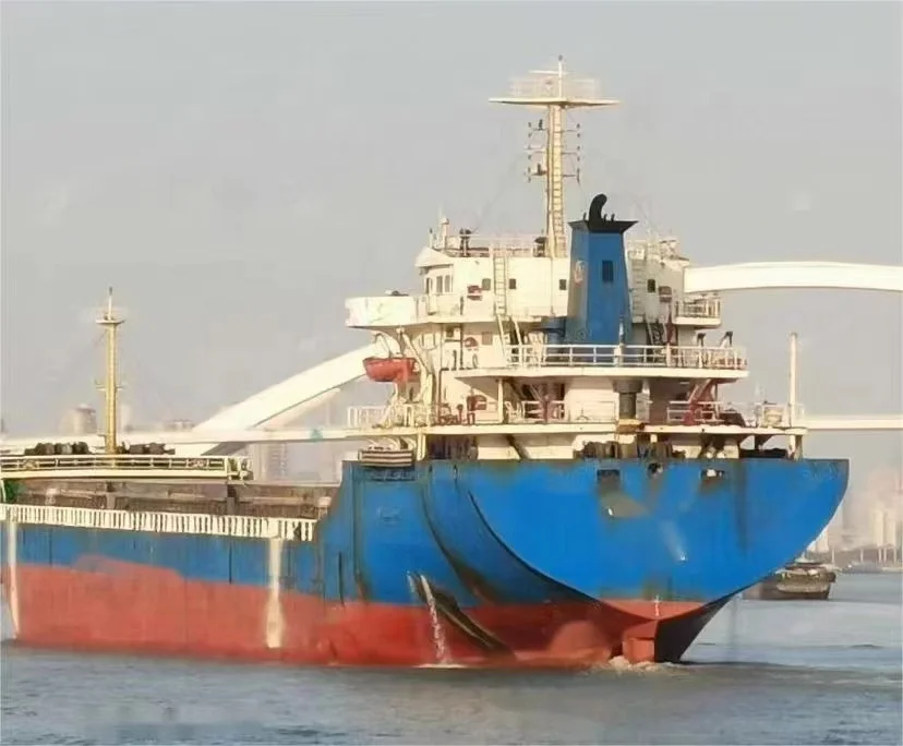 Подержанный 12000 т балкер продажа Китай верфи SH067-12000T-240329