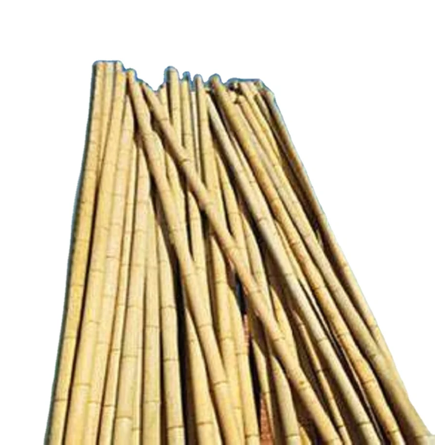 Sunbelt Factory Wholesale Cheap Price Natural Artificial Bamboo Poles for Indoor Outdoor Decoration