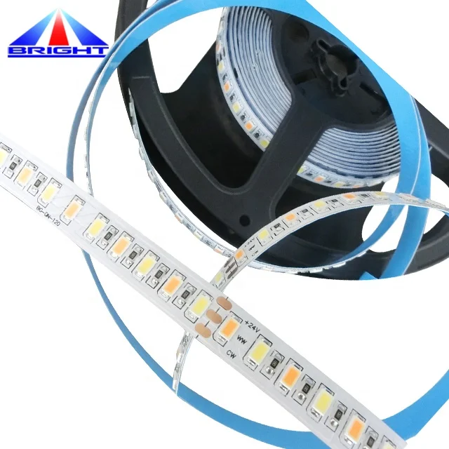 SMD5630 bicolor led strip,W+WW 24V Dual White CCT Tunable dimmable led light strip
