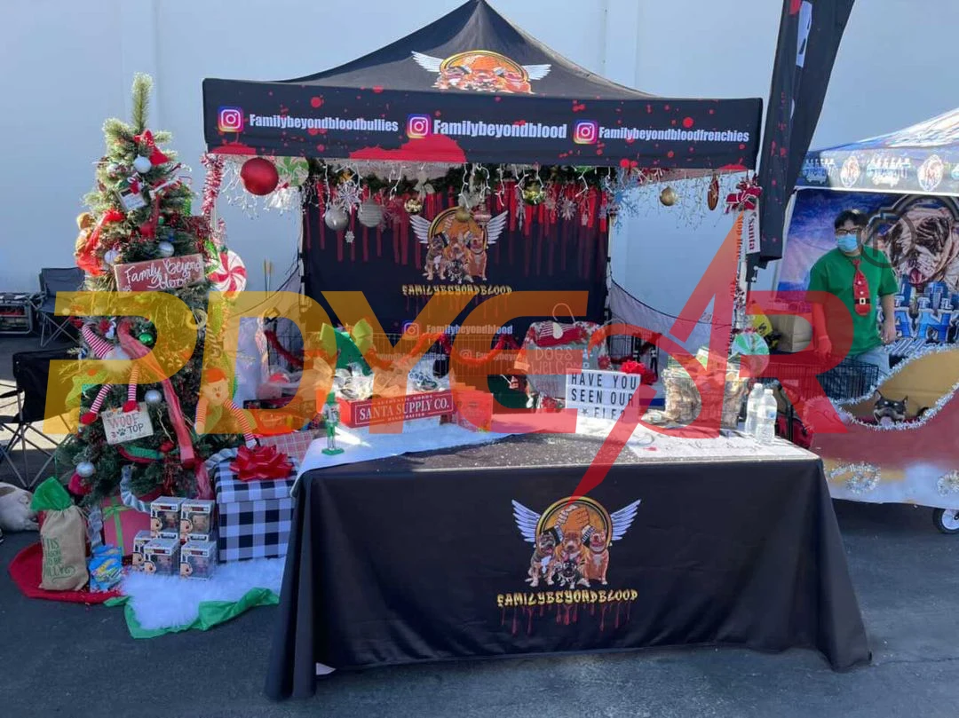 Outdoor Advertising Custom Logo 3x3 Aluminium Folding Awning Marquee Gazebo Trade Show Pop Up Customized Canopy Tent