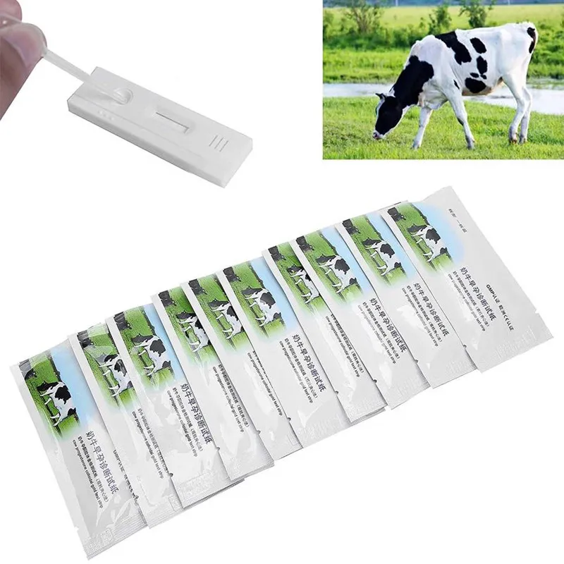 Great Farm High Quality  Medical Diagnostic Test Kits Sheep/ Cow Pregnancy Test Hcg Rapid Test Kit