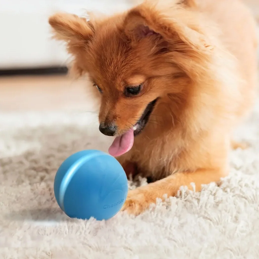 Wicked Ball New Design Pet Dog Cat Toys Interactive Toy Electric Automatic Companion Cat Playing Ball  Dog Training ball