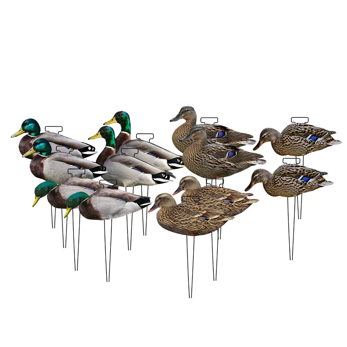 Lifelike Unti-scratch Light Weight Silhouette Mallard Drake&Hen Recyclable Silhouette Decoys Hunting Decoys