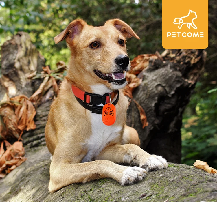 
High Frequency Ultrasonic Dog Repeller Flea And Tick Control Prevention 