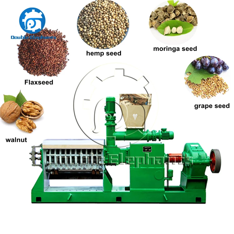 20t/D Twin Screw cold screw press oil machine cold press for oil seed peanut oil cold press