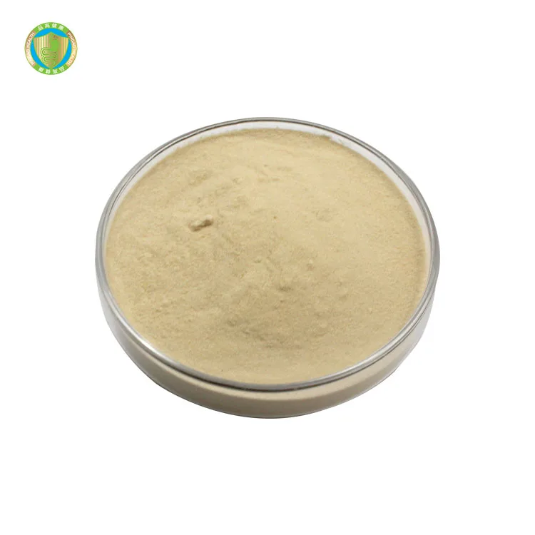 Wholesale Pure Lactobacillus Reuteri Probiotics Powder Good For The Gut