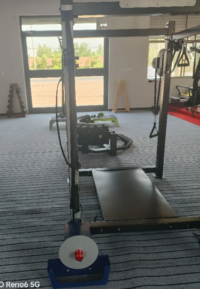 Household Gym Professional Strength Training Centrifugal Trainer Body Vibration Vertical Centrifugal Trainer