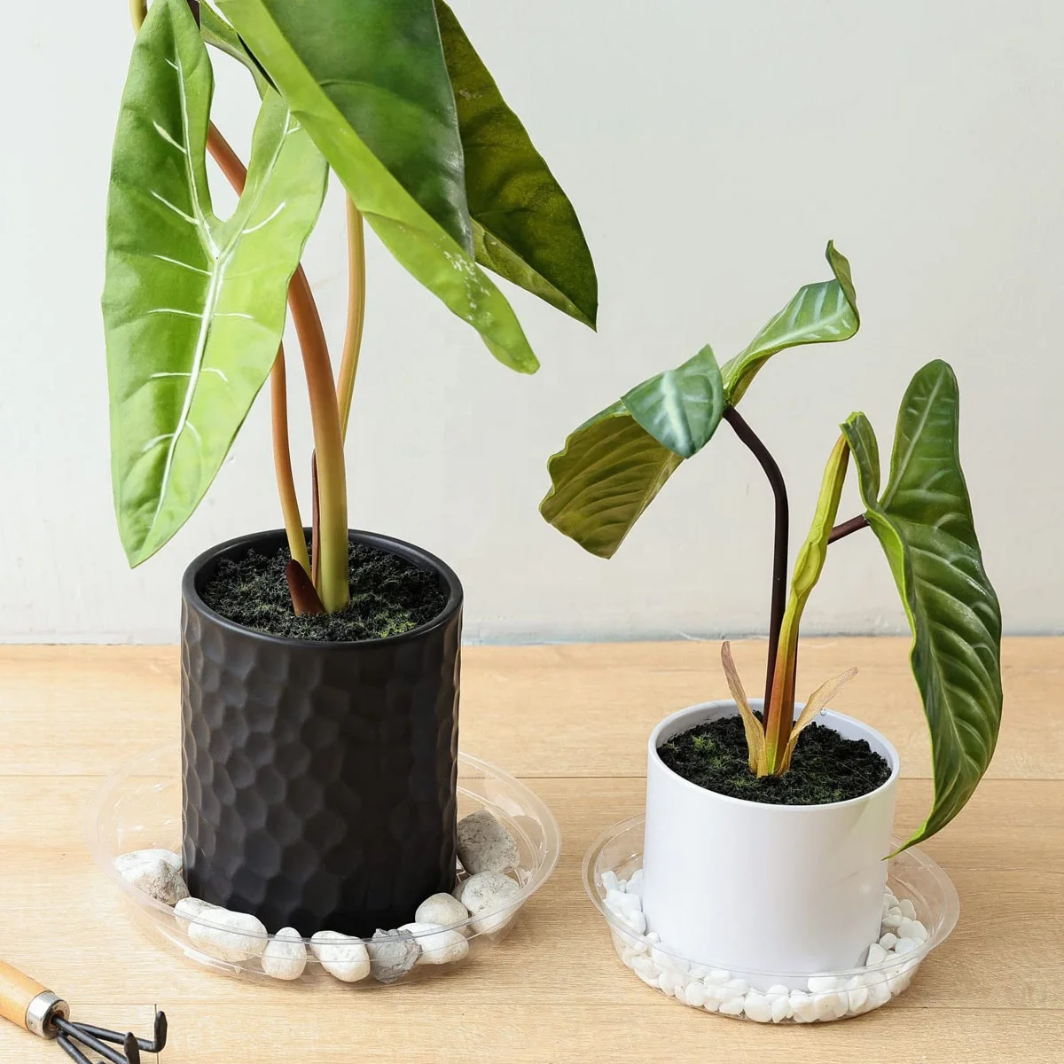 Plant Saucer Drip Tray 6 810 12 inch Clear Heavy Sturdy Plastic Planter Flower Pot Saucers for Indoor Outdoor Garden