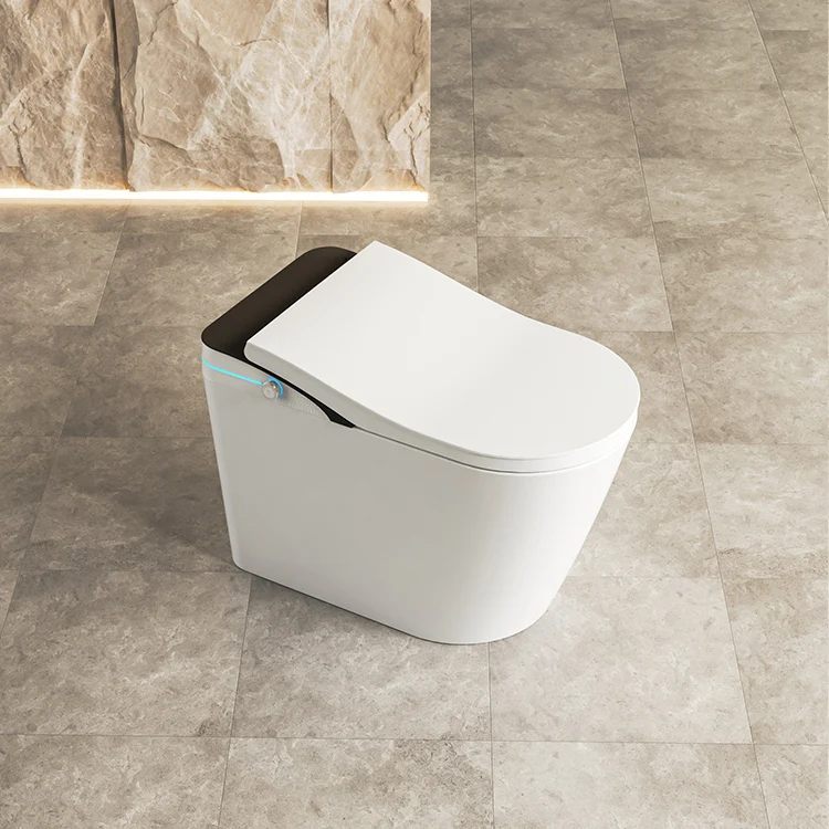 New Model Japanese Black Bidet Smart Toilet Dual Flush Siphon Flush Luxury One Piece Toilet