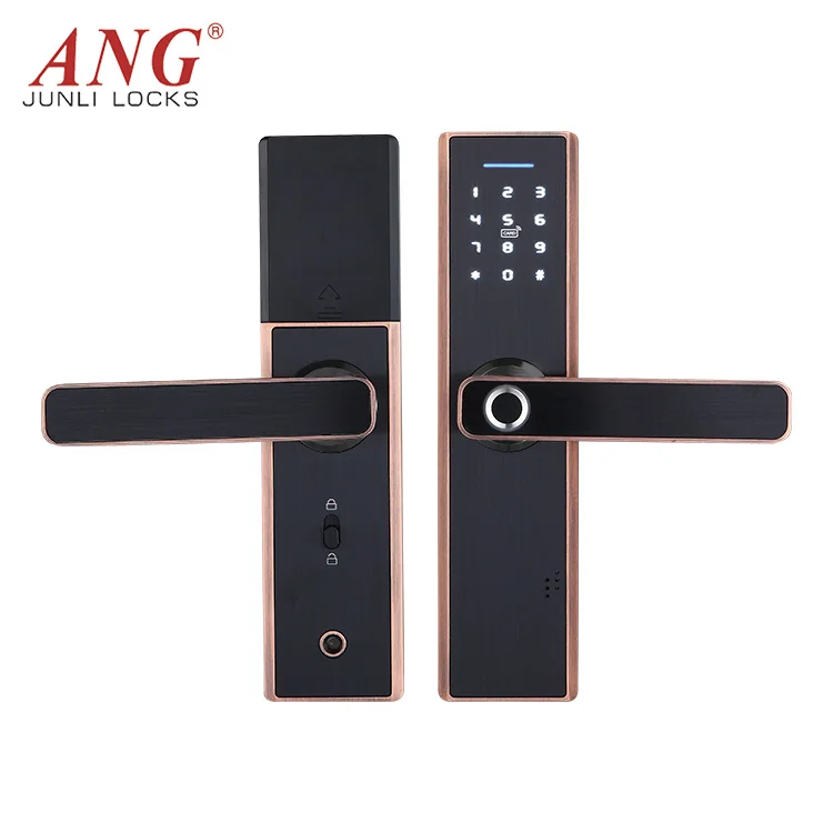 Innovative Product Electronics Technology Wifi App Access Fingerprint Smart Door Lock Set