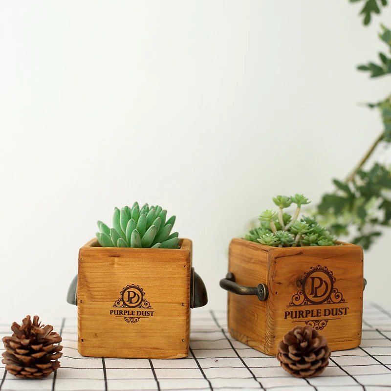 Деревянный Trug с ручкой для растений-суккулентов, деревянная коробка