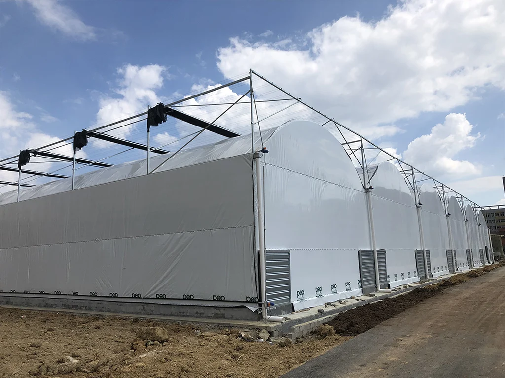multi span film green house greenhouse structure commercial used greenhouse frames for sale