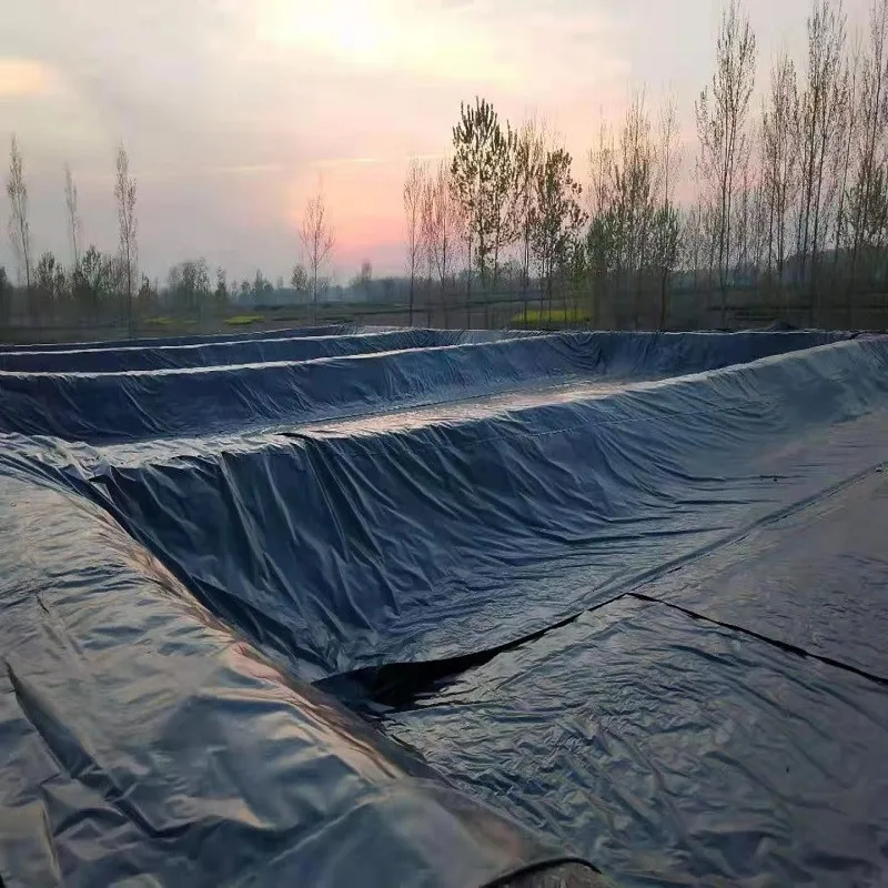 ПЭНД LDPE геомембрана 0 5 мм 75 1 бесплатный образец для аквакультуры рыбоводства HDPE