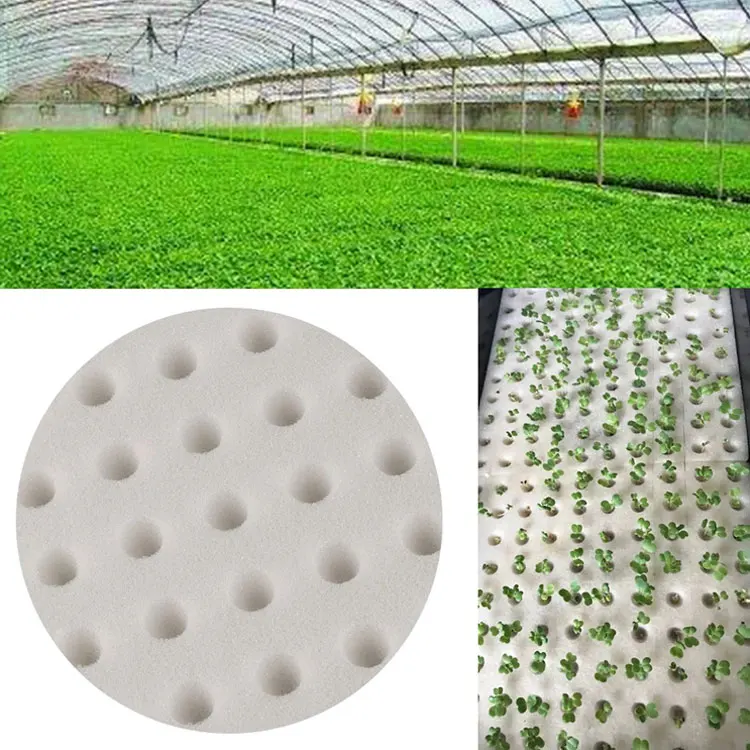 Manufacture Seed Hydroponic Greenhouse Planting Sponge PU Foam Agriculture Cultivation for Vegetables Garden Supplies