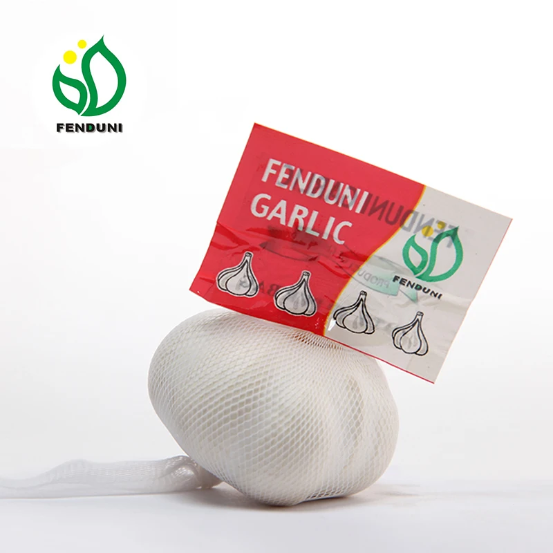 
chinese fresh garlic with good price for import china garlic 