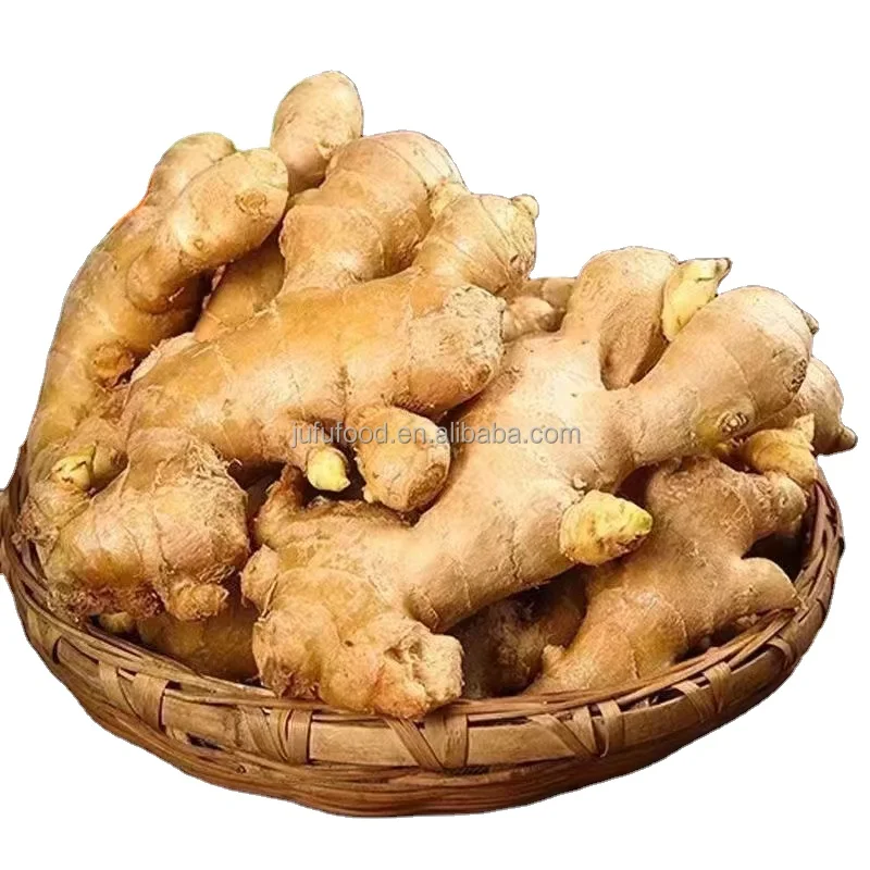 chinese High Quality fresh mature young ginger