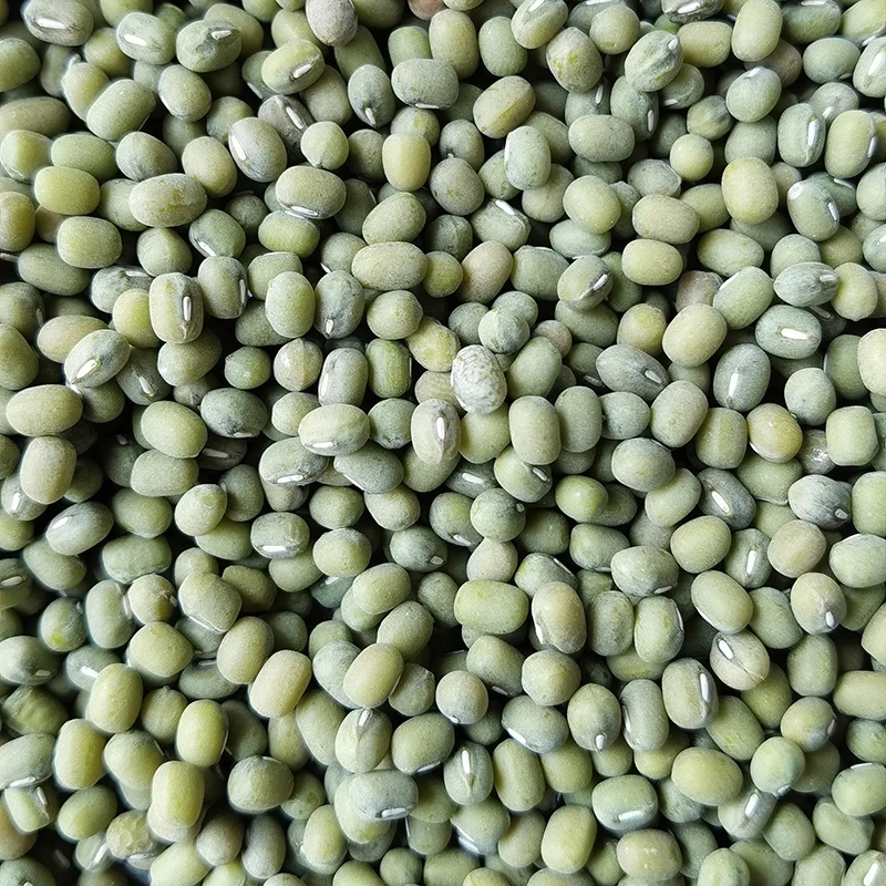 
New Arrival Factory Wholesale Price 100% pure Green Mung Bean 
