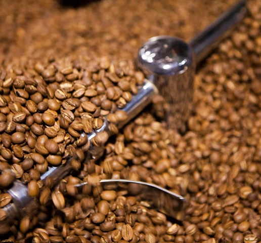 Поставка кофейной основы Юньнань зеленые кофейные зерна Арабика/Робуста Арабика