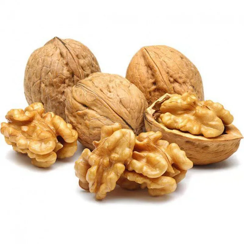 Оптовая продажа высокое качество 185 орехов ELH 2022 новый урожай