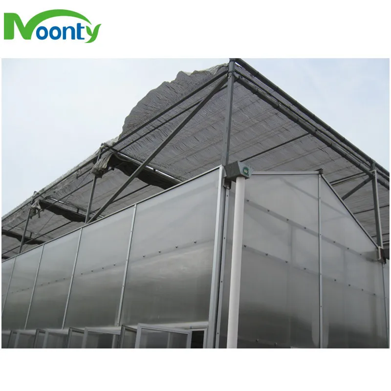Venlo Greenhouse