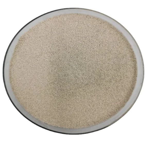 Saccharomyces cerevisiae feed additive aquaculture