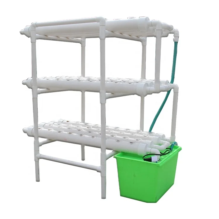 Home Indoor Hydroponic Growing of Vegetables