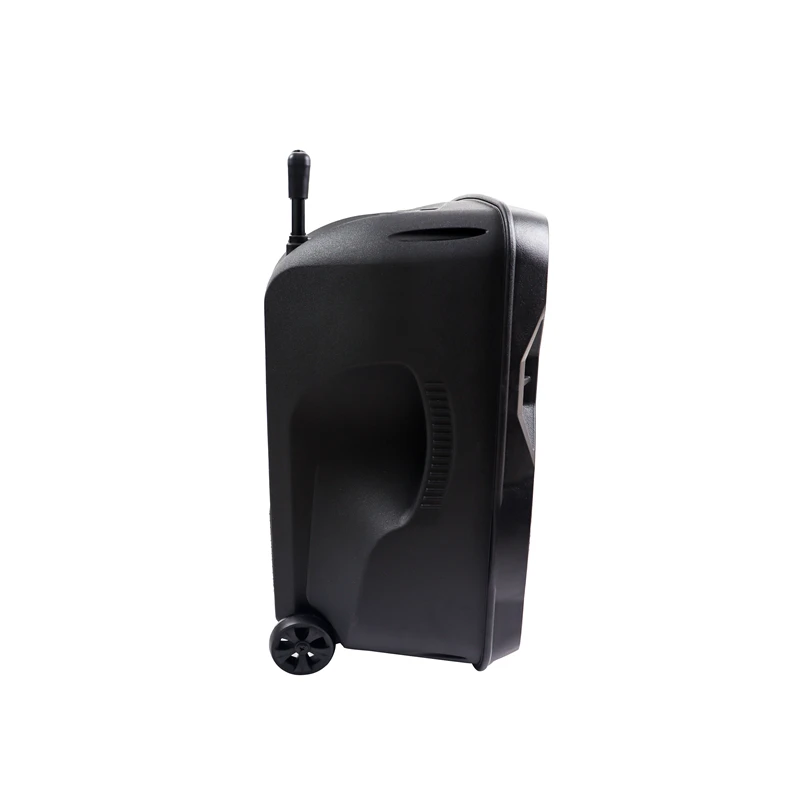 2024 Wholesale price 12 inch subwoofer cheap 3.7v digital amplifier ce fc rohs mini mobile portable vibration trolley speaker