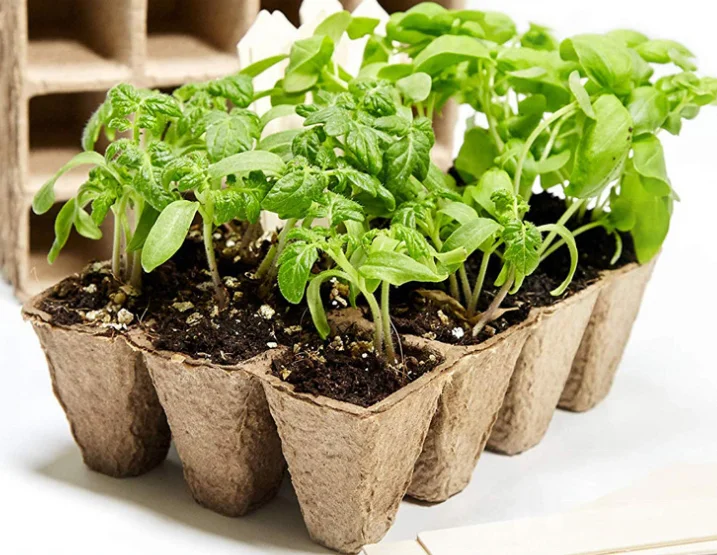 Factory supply Biodegradable 12 cells Paper Pulp Peat tray Seed Starter Nursery paper Trays for wholesales