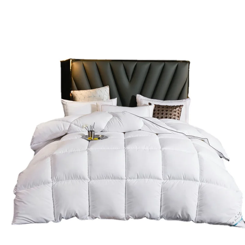 three dimensional warm velvet spring quilt core single and double family student light and breathable winner quilt