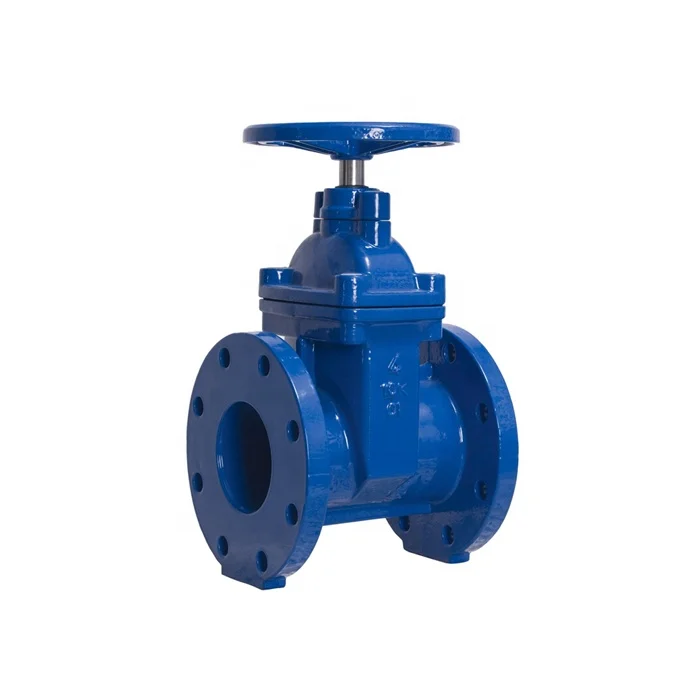 
BS5163/ EN 1171 PN25 Rising Stem Resilient Seated Gate Valve 