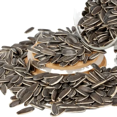 High Quality Chinese Large Particle Size 363 Sunflower Seeds 25KG/Bags Dried Sunflower Seed