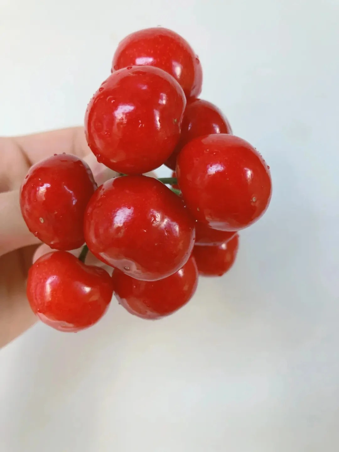 High grade 2023 natural fresh Fruit Cherry