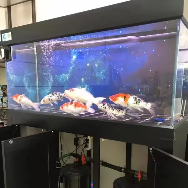 Горячая Распродажа Заказной Прозрачный стеклянный аквариум для аквариума