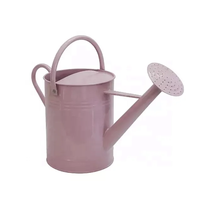 Wholesale 6L galvanized watering can garden watering pot