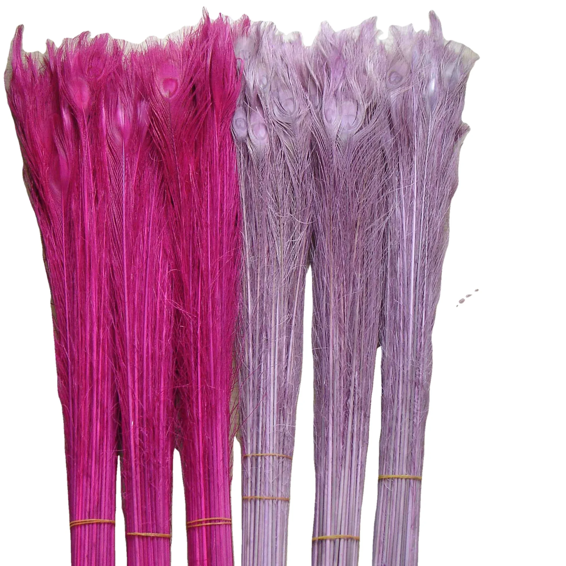 Dyed Peacock Feather for Party Decoration