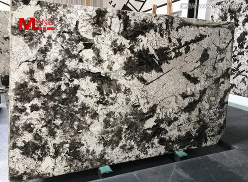 snow fox  luxury wall space natural  wall floor marble