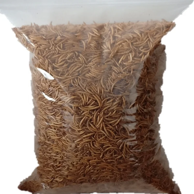 Factory High Quality Dried Tenebrio Molitor Mealworms Fish Pet Food