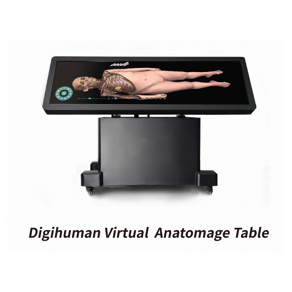 School Teaching System Digital Human Anatomy System Anatomage 3d Body Virtual Autopsy Table