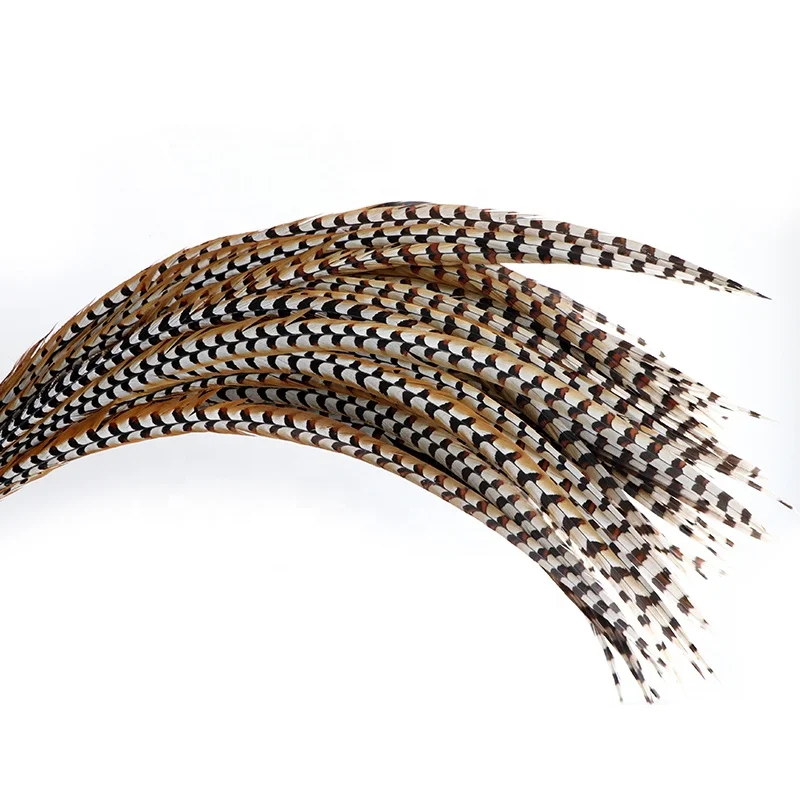 Wholesale Stock Selected Top Quality 20-150 cm Natural Long Ringneck Reeves Pheasant Tail Feathers large plumas